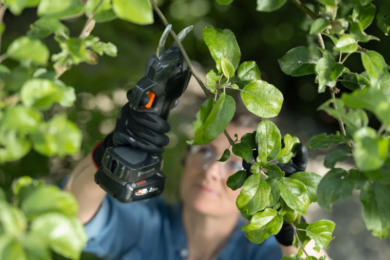 Secateur, Bypass Aspire Ps30x-